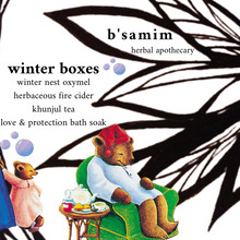Load image into Gallery viewer, B'samim Winter Box